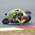 MotoGP wings - Rs660 | Tunono | RSV4